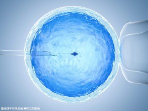 有偿志愿者供卵代孕怎么找